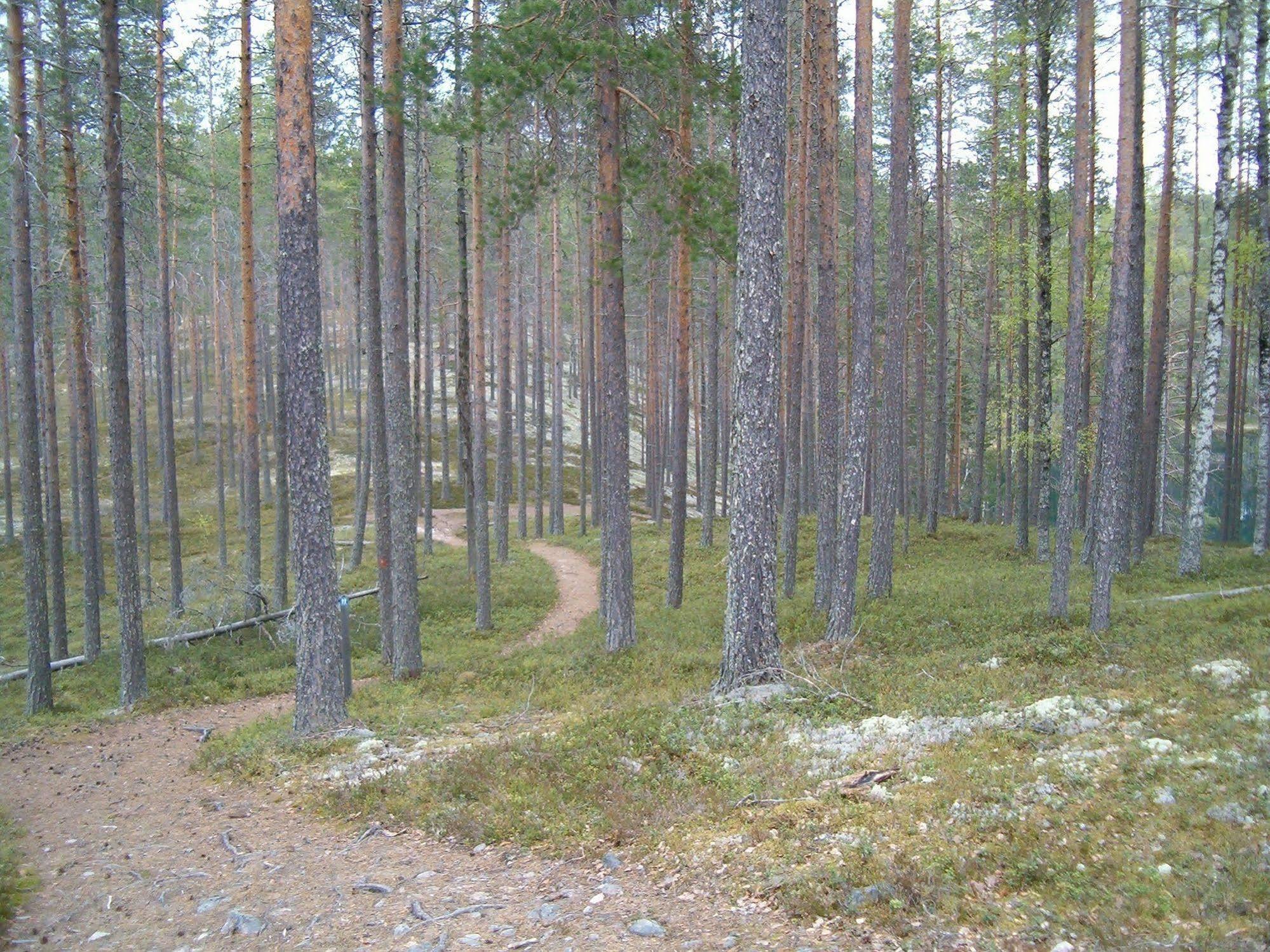 Manamansalo Camping 外观 照片